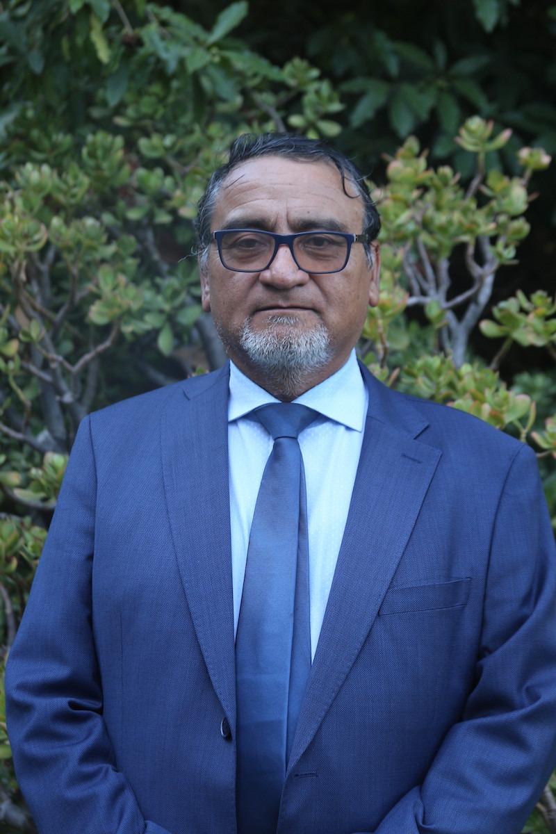 Dr. (c) Pedro Seguel
